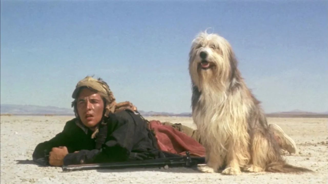 Фильм Парень и его пес (1974)