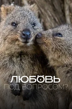 Фильм Любовь под вопросом? (2020)