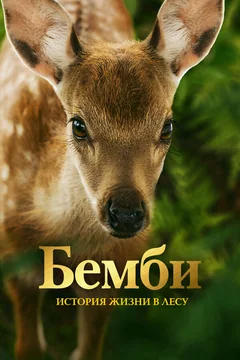 Фильм Бемби. История жизни в лесу (2024)