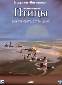 Фильм Птицы (2001)